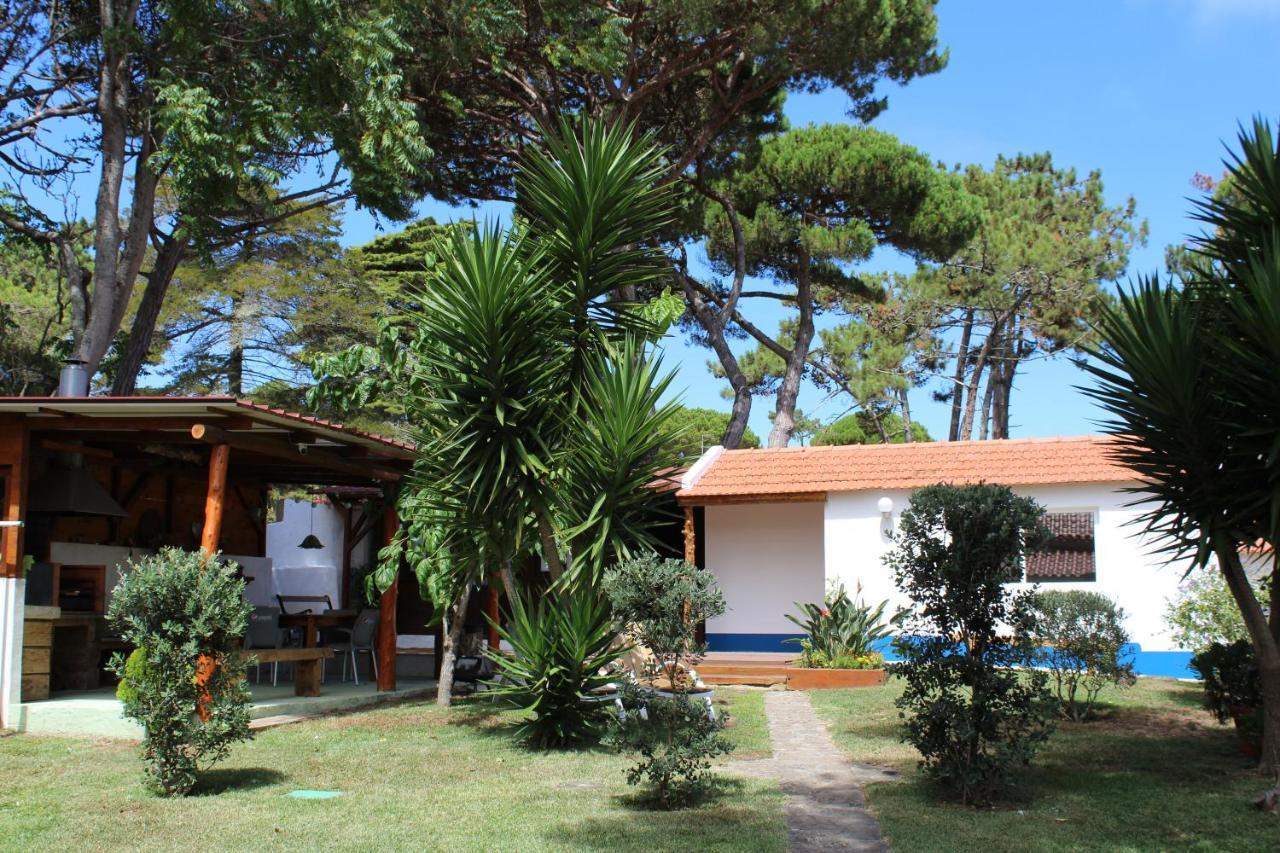 Casinha Do Pinhal Villa Colares Exterior foto