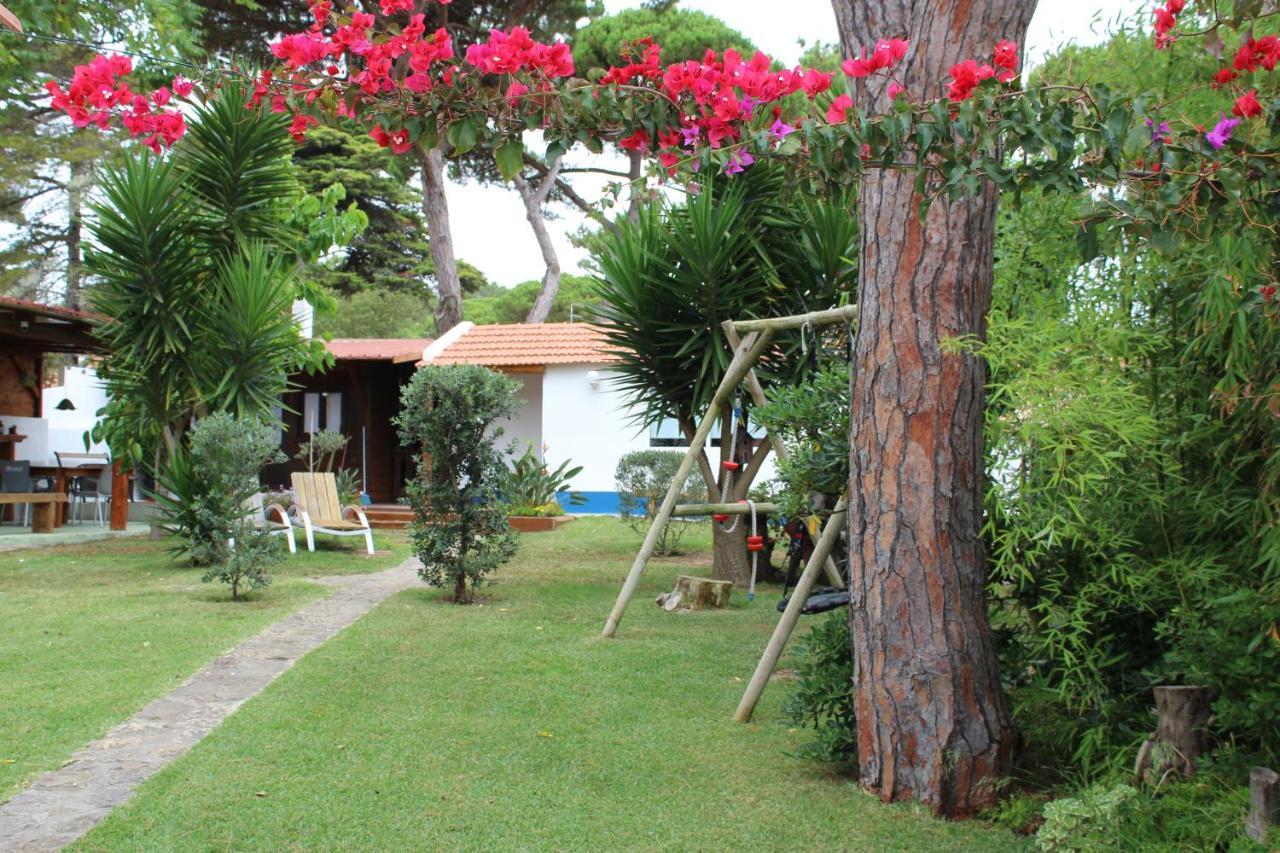 Casinha Do Pinhal Villa Colares Exterior foto
