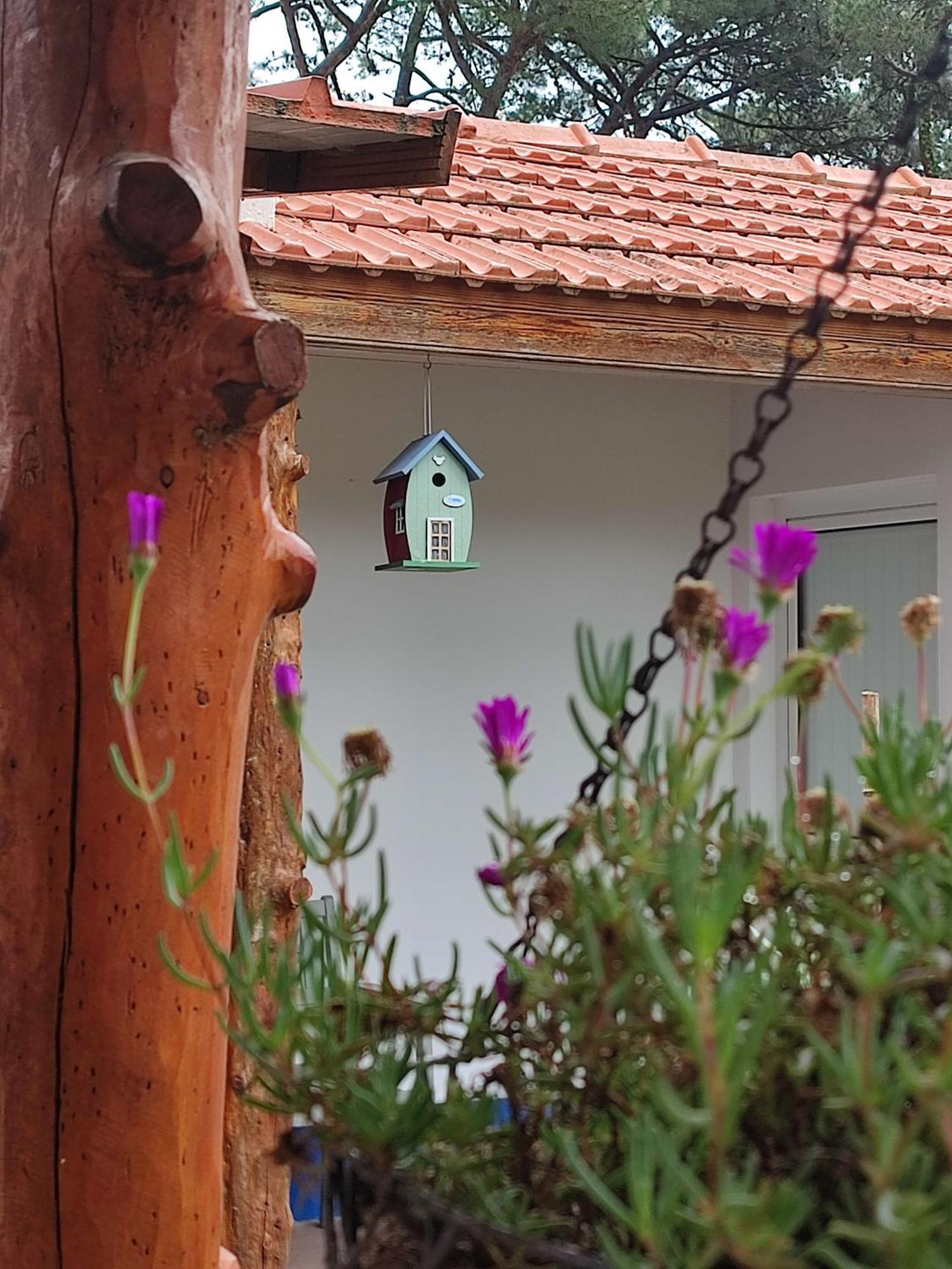 Casinha Do Pinhal Villa Colares Exterior foto